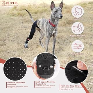 BUVUB Dog Canine Knuckling Brace Rear Leg Boot with Adjustable Dial for Toe Dragging Cause by Sciatic Nerve Insufficiency, Myelopathy, Herniated Disc (Small, Size 2)