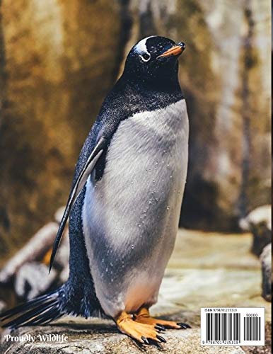 Penguins Picture Book: For Seniors with dementia or Alzheimer's patients Kids and Children