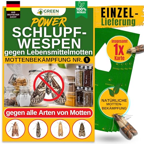 GREEN GUARDIA Guêpes parasitaires contre les mites alimentaires, 1 carte à 1 livraison, lutter efficacement et écologiquement contre les mites alimentaires, alternative aux pièges à mites, spray