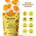 Drybox Dried Turkish Apricots No Sugar Added, Unsweetened Non-GMO | Dry Apricot Snacks | All Natural Mediterranean Dried Fruit Resealable 1 lb per pack - 1 Pack