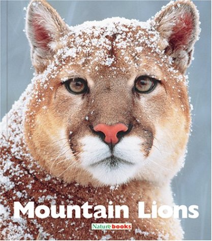  Mountain Lions