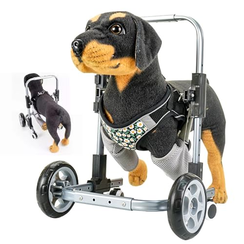 Fauteuil roulant de rééducation pour chien support mobilité animaux