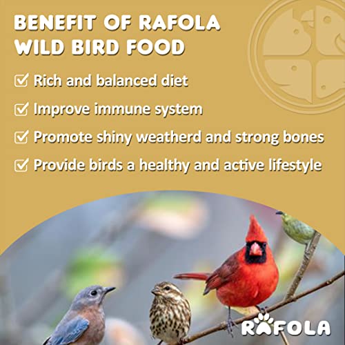 Image of Wild Bird Food Mix Seeds - Nourishing Sparrows, Finches, Pigeons & Wild Birds (1 Kg) For All Life Stages
