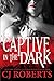 Captive in the Dark (Platinum Edition) (Dark Duet)