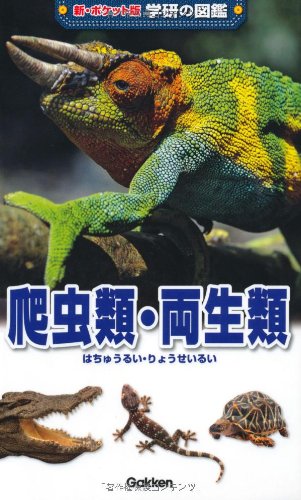 爬虫類・両生類 (新ポケット版学研の図鑑)