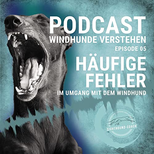 H&auml;ufige Fehler im Umgang mit dem Windhund