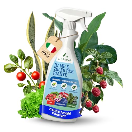 DIFESA BIOLOGICA TUTTO L’ANNO – Ideale per agricoltura biologica, protegge costantemente da funghi, batteri e malattie fogliari. Ottimo come trattamento preventivo con zolfo e ossicloruro di rame.