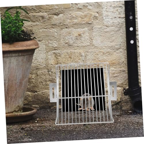 Couvercle de drain mural pour protéger votre terrasse des eaux pluviales d'orage - 5