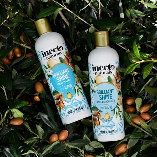 INECTO Natural Argan Shine Shampoo 500ml, Rich & Nourishing Pure Argan Oil for Beautiful Healthy Shine, for Dull Damaged Hair INECTO Natural Argan Shine Shampoo 500ml, Rich & Nourishing Pure Argan Oil for Beautiful Healthy Shine, for Dull Damaged Hair