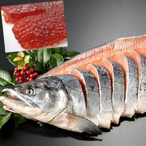 T[X⏼ V{p؂{؎qiVRg ؎qj ϔ