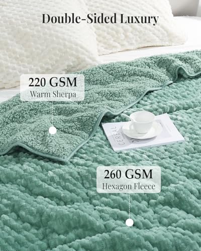 Image of Topblan Weighted Blanket for Adults, 60 inch x 80 inch 20lbs, Soft Sherpa Queen Size Heavy Blanket with 3D Jacquard Turtle Shell Flannel Fleece for Couch and Bed