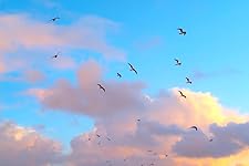 Review Image by Holly Holly