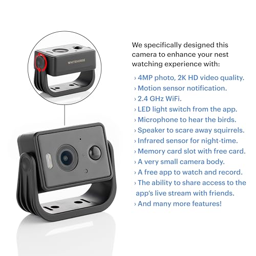 WHITEHORSE Camera for Bird Houses - Wireless and Solar Powered - Take Photos and Videos from Your Phone (Free App) - Get Notified When a Bird is Detected - 32GB Memory Card Included - Thumbnail 3