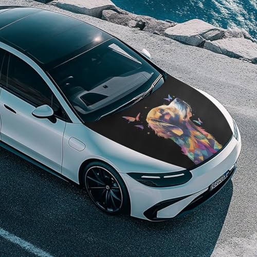 Image of Colorblock Dog Car Hood Cover, Color Golden Retriever Butterfly Washable Elastic Stretchable Polyester Protector for Car Hood, Easy Installation Automotive Accessories
