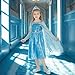 AHLPO Elsa Dress Princess Costume for Girls Halloween Cosplay Princess Dress Up Luxury Birthday Outfit for Toddler Kids