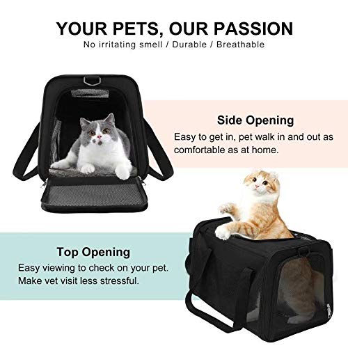 https://m.media-amazon.com/images/I/5199fevHryL._SL500_.jpg