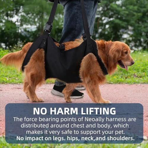 Tragehilfe Hund Treppe, Hundeliftgeschirr Mobilitätshilfen Einstellbar - Unterstützung für Mittelgroße Ältere Hunde Mit Schwachen Beinen, Chirurgie Rehabilitation (XL)