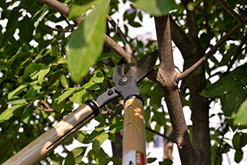 Tijeras profesionales para poda KAKURI 24" miniatura 2
