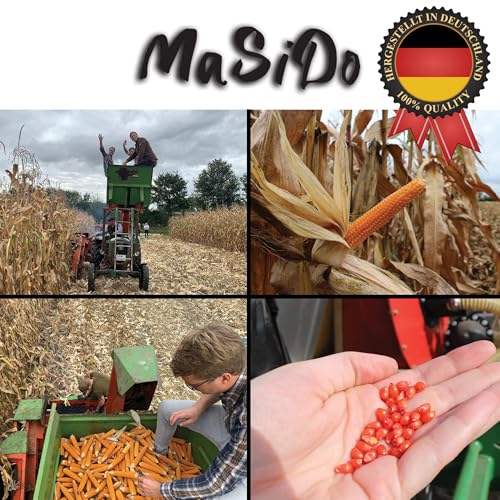 MSD MaSiDo Premium Popcorn Mais aus Deutschland, Butterfly Mais Vorratspack, ohne Gentechnik, vegan, glutenfrei, laktosefrei (2kg Packung)