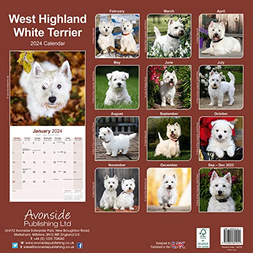 West Highland Terrier Calendar 2024 Square Dog Breed Wall Calendar - 16 Month - Image 2