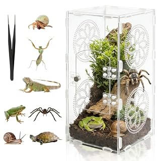 Darenyi terrarium acrylique transparent 30 x 15 x 14 cm