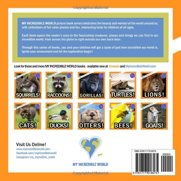 Pigs!: A My Incredible World Picture Book for Children (My Incredible World: Nature and Animal Picture Books for Children) - Image 2