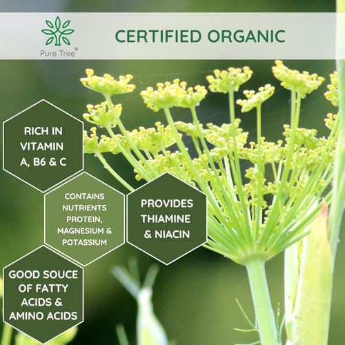 Image of Pure Tree Certified Organic Fennel Seeds | 250 Gm | Saunf, Variyali | Perumjeerakam Whole Spices Sombu Whole | Fennel Seeds Saunf | Organic Saunf Rich Flavour Sombu