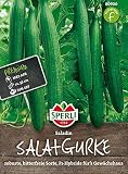 Portal Cool Cetriolo Saladino F1
