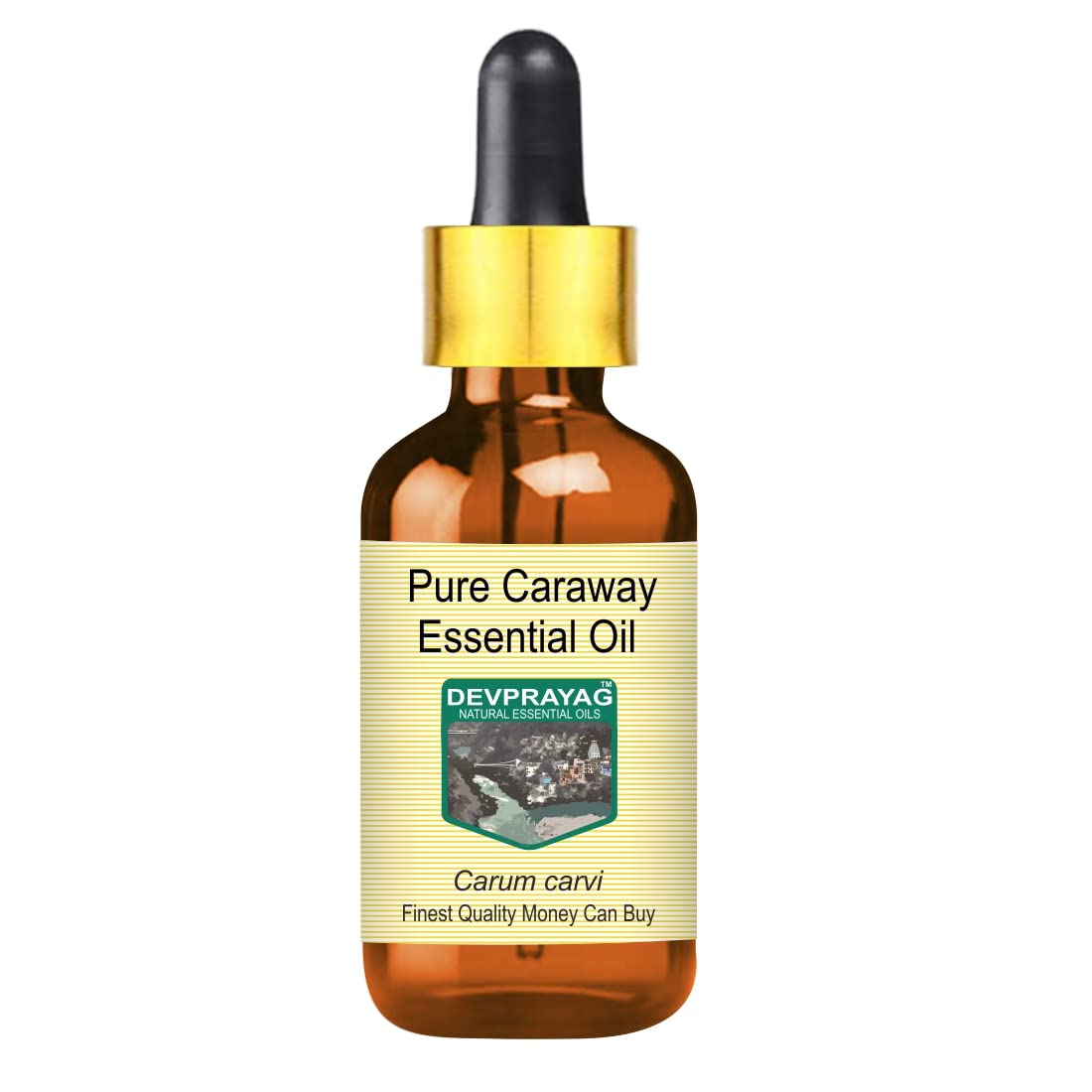 Pure Caraway Essential Oil (Carum carvi) with Glass Dropper Steam Distilled 50ml (1.69 oz)