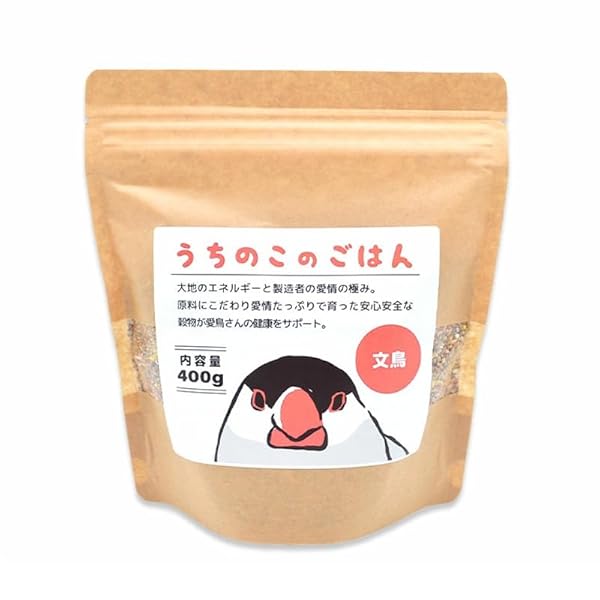 ことりすまいる うちのこのごはん 文鳥