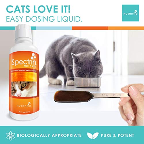 Cat Vitamins - Spectrin 16 Oz - Liquid Vitamin & Antioxidant Supplement For Cats - 96 Doses #TOP2