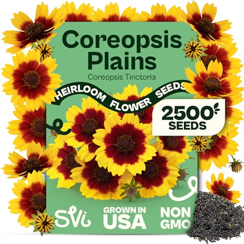 SVI 2500 Plains Coreopsis Seeds (Coreopsis Tinctoria) - Golden Tickseed Yellow-Red Blooms Annual Wildflowers Heirloom Seed in Seed Packets - Flower Seeds for Outdoor Garden Meadows Flowers Beds