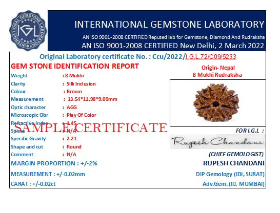 Astro Cart Precious Aath Mukhi Rudraksha Original Certified by Lab Oval Shape अष्ट मुखी रुद्राक्ष Brawn Holy Beads Nepali 8 Mukhi Rudraksha 20mm Rare Eight Face Rudraksha for Puja Purpose 4