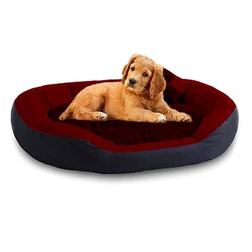 Slatters Be Royal Store Rectangular Shape Ultra Soft Reversible Fleece/Velvet Bed for Dog and Cat with 2 Extra Pillows (M, Red-Black)
