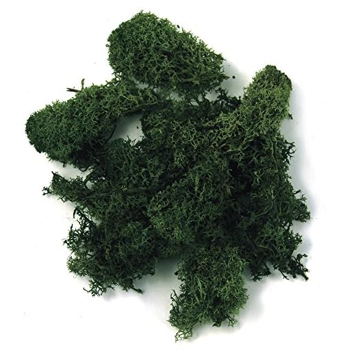 Rayher 8503213 Islandmoos, SB-Btl. 100 g, d.grün