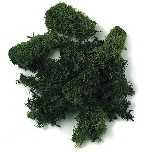 Rayher 8503213 Islandia - Musgo de Musgo Natural (100 g, Islandia), Color Verde Oscuro