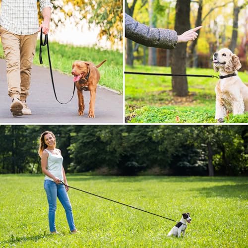 Reflektierende Hundeleine mit weichem, Lead for Dog gepolstertem Griff für das Training, Führleine für große und mittelgroße Hunde, 5m/10m/20m/15m/30 m 1 Zoll breit, SCHWARZ (5mX 2.5cm)