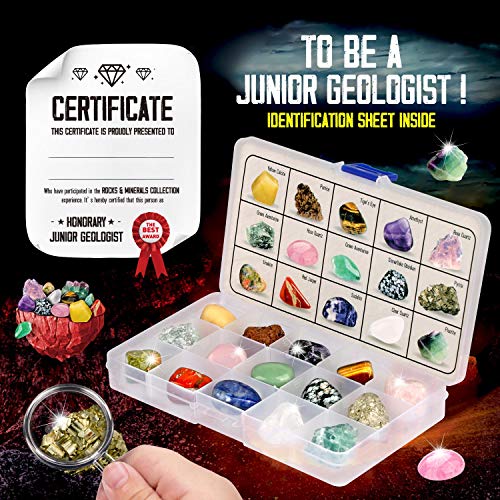 Image of Piano Potato Rocks Collection 15 Gems Kit with ID Sheet, Geology for Kids