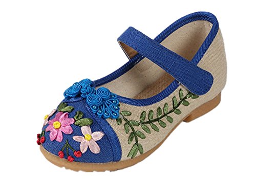 Tianrui Crown Girl's Embroidery Mary-Jane Shoes Kid's Cute Flat Shoe Blue
