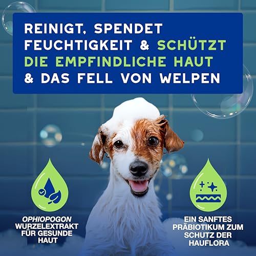 DOUXO Skin & Coat SPA – Ultra-Safe* Welpen-Shampoo, 250 ml, reinigt, spendet Feuchtigkeit und schützt das empfindliche Fell von Welpen, hinterlässt das Fell besonders weich, hautfreundliche Formel