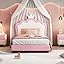 Pink / Crown