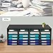 Literature Organizer, 24 Compartment Paper and Mail Organizer, Office and Classroom Mailbox with Adjustable and Removable Shelves, Countertop Literature Sorter for Library, Office, Classroom (Black)
