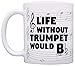 ThisWear Funny Music Gifts Life Without Trumpet Would B Flat Brass Instrument Gift 11oz Ceramic Coffee Mug with Handle