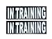 2 Reflective "IN TRAINING" Velcro patches for Service dog harnesses & vests.