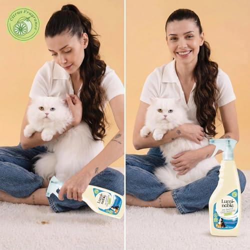 Image of Pet Stain & Odor Remover Spray, enzyme cleaner for dog urine & poop carpet | Upholstery & Fabrics - Eliminates Cat Pee, Feces, Vomit & Tough Stains, Eco-Friendly, Vegan, Citrus Scent