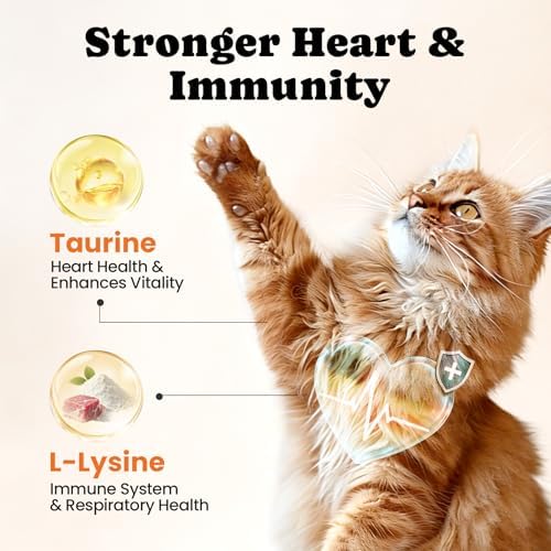 Cat Vitamin Treats with L-Lysine & Taurine — texture and fabric close-up