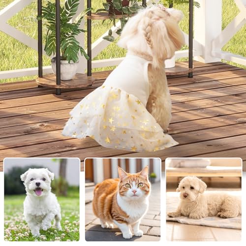 Tutu-Kleid für Hunde und Katzen, Sommer, Tüll, Slip-Spitzenkleid, niedlicher Welpe, Glitzerstern, Rock, Haustier-Partykleidung für kleine, mittelgroße Katzen, Hunde (Gelb, M)