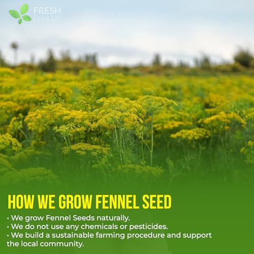 Image of FreshDrinkUS, Premium 135 Fennel Tea Bags, 100% Natural & Pure from Fennel Seeds. Made with Natural Material Tea Bags. No Sugar, No Caffeine, No Gluten, Vegan.