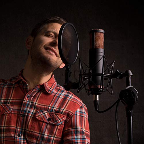 Antelope Audio Edge Duo Double Membrane Condenser Modeling Xlr Microphone #TOP7