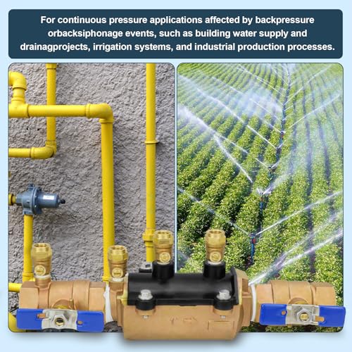 Image of 1-350 Double Check Backflow Preventer,Double Check Valve Assembly